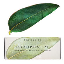 Load image into Gallery viewer, Eucalyptus Leaf Pillow
