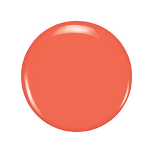 Load image into Gallery viewer, Bohdi
