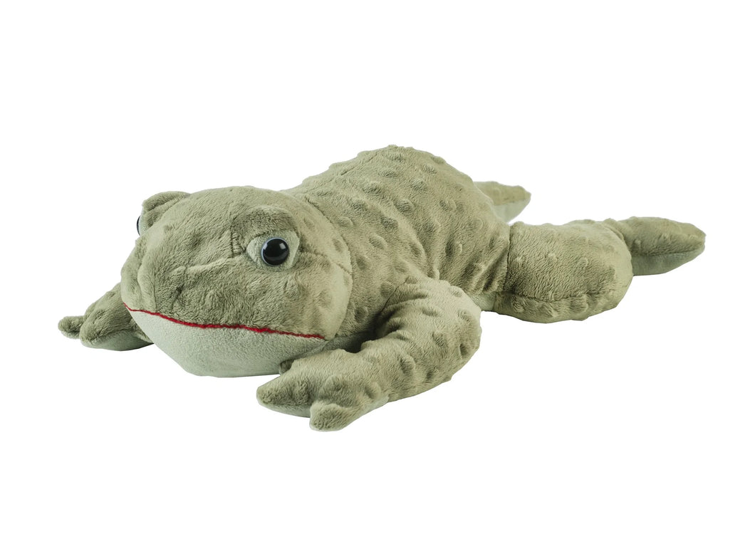 Freddy Tree Frog