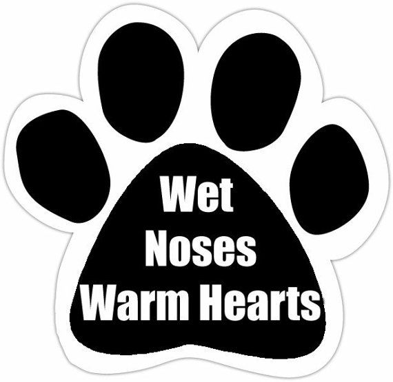 Quotable Car Magnet- Wet Noses Warm Hearts