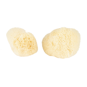 Silk Sponge Boxed 2pk