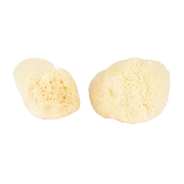 Silk Sponge Boxed 2pk