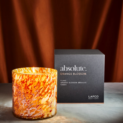 Orange Blossom Absolute Candle 15.5 oz